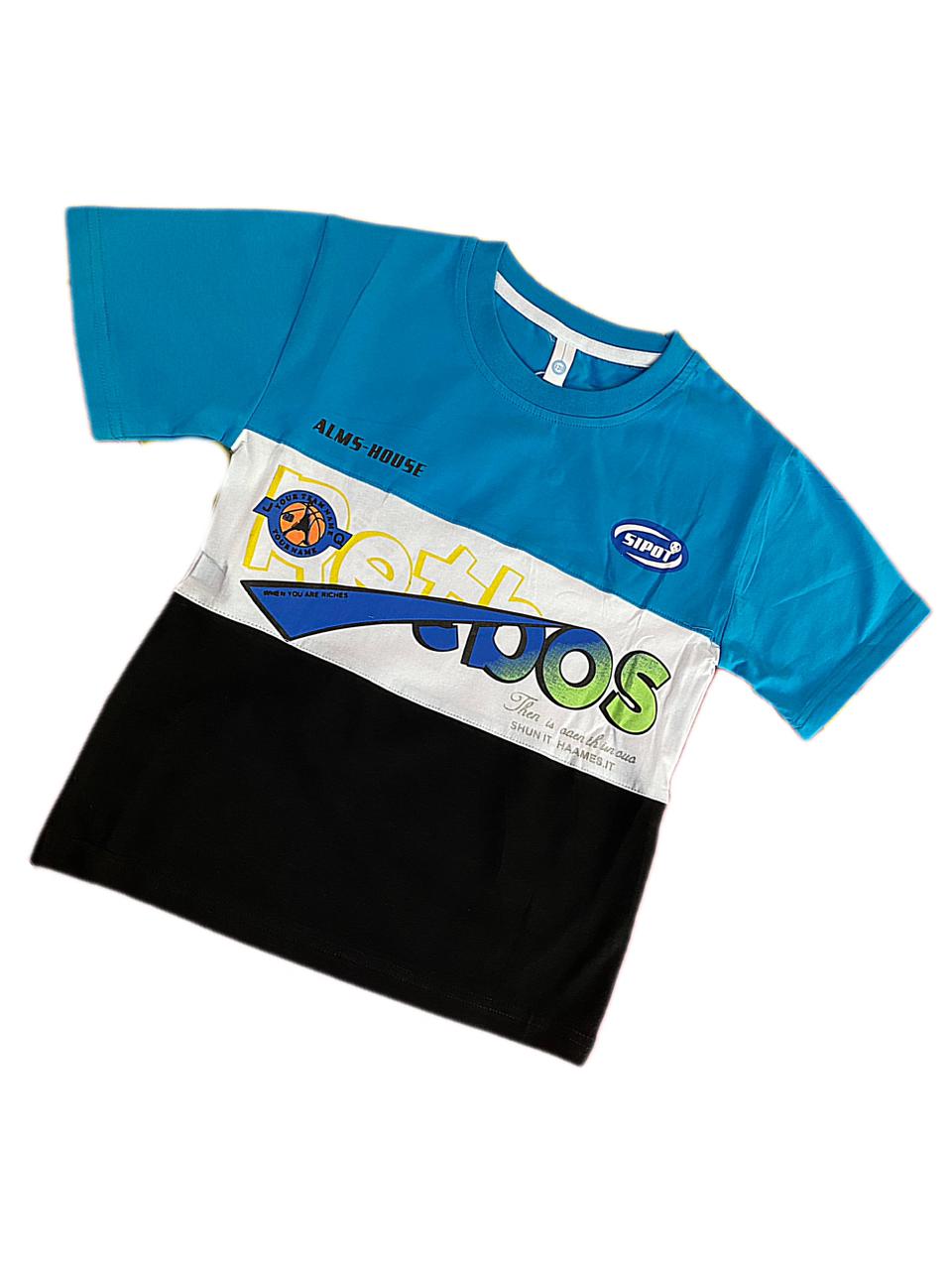 Boys Stylish Blue T-Shirt